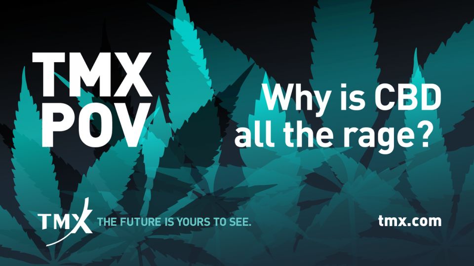 TMX POV - Why is CBD all the rage?