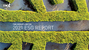 Read the Report